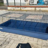 GABBIA 140x67