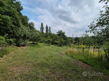 Terreno agricolo a Zola Predosa (BO)
