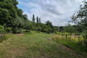 Terreno agricolo a Zola Predosa (BO)