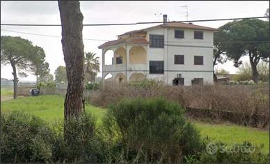 Aprilia - Rif. ASTA 6462