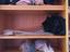 Immagine 4
