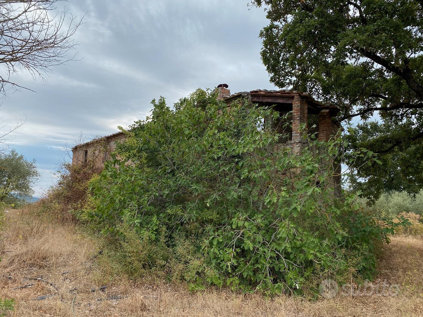 Casale con terreno - Toscana - Vista 5