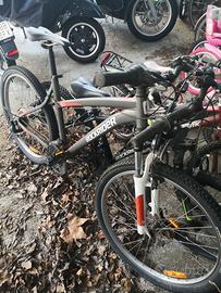 Biciclette vari modelli.