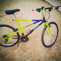 MTB Bianchi Thomisus