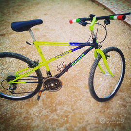 MTB Bianchi Thomisus