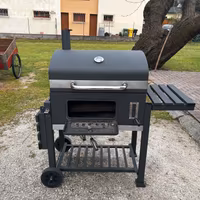 Barbecue a carbonella 150.00 
