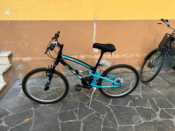 Bicicletta 