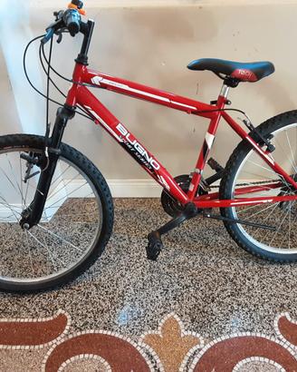 Mountain bike Bugno 