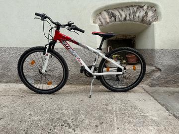 Bicicletta 26cm diametro ruote