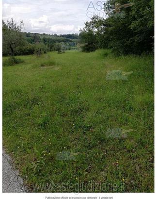 Terreno Agricolo Tossicia [A4342942]