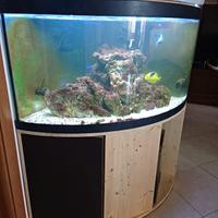 Acquario Askoll Tenerife Visus 295