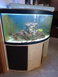 Acquario Askoll Tenerife Visus 295