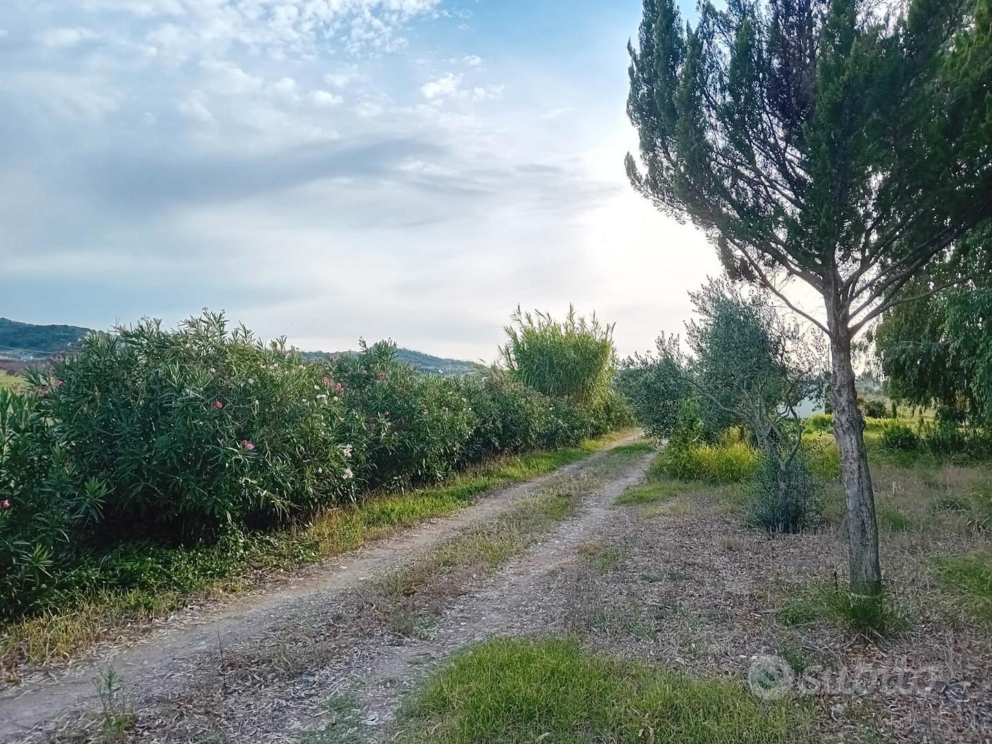 Casetta nuova di campagna - Altro