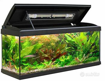 Acquario funzionante 80x20x40 con motore e filtro