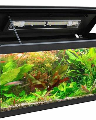 Acquario funzionante 80x20x40 con motore e filtro