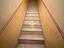 Immagine 8
