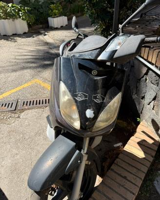 Xmax 250