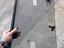 Immagine 3