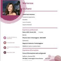 Commessa o aiuto apprendista, baby sitter