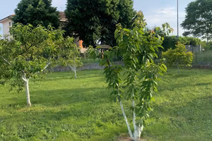 Terreno piu ciabot