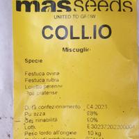 Miscuglio di semi tappeto erboso Collio Mas Seeds