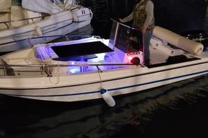 open gobbi  Johnson 40 cv