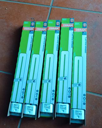 lampadina 5 pezzi 2g11 24w
