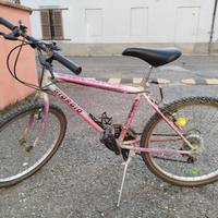 Bicicletta Mountain bike