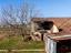 Immagine 17