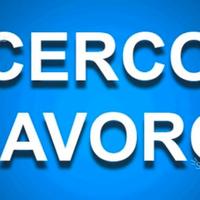 Custode Autista Persona di Fiducia