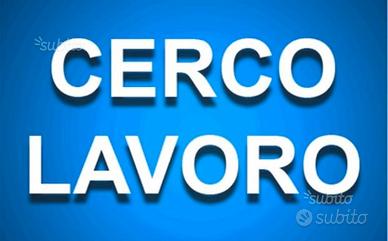 Custode Autista Persona di Fiducia