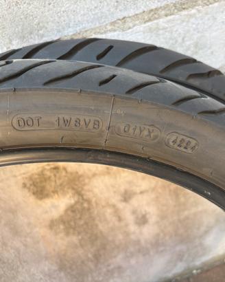 michelin anakee road