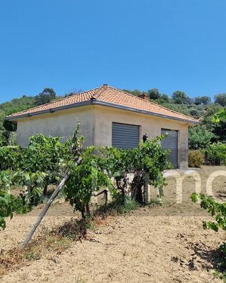 Terreno agricolo 7,5 ettari Castiglione di Sicilia