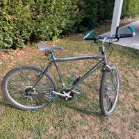 Mountain Bike usata