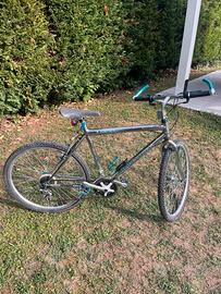 Mountain Bike usata