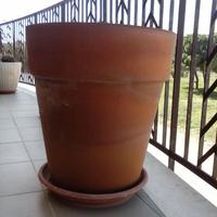 Vasi in terracotta grandi più uno in pietra