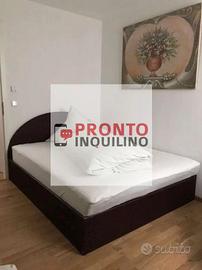 Bilocale ristrutturato Pioltello