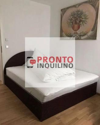 Bilocale ristrutturato Pioltello
