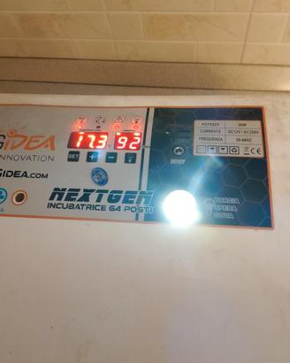 incubatrice 