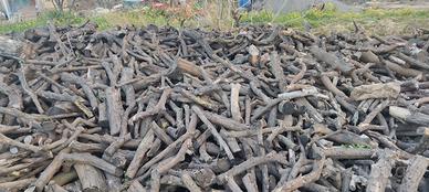 legna da ardere arancio 