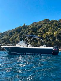 White Shark 248