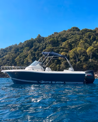 White Shark 248