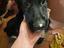 Immagine 4