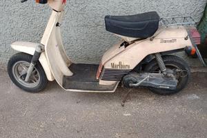 Benelli S50
