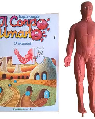 Il Corpo Umano n°1 I muscoli + modellino uomo