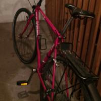 Bici trek