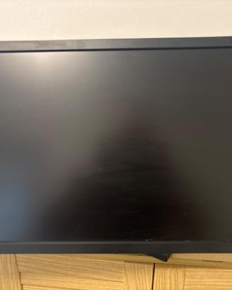 monitor professionale NEC SpectraView Refere