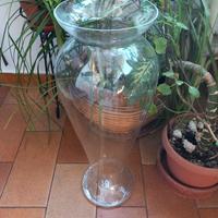 Vaso arredo in vetro
