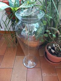 Vaso arredo in vetro