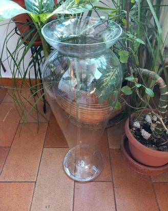 Vaso arredo in vetro